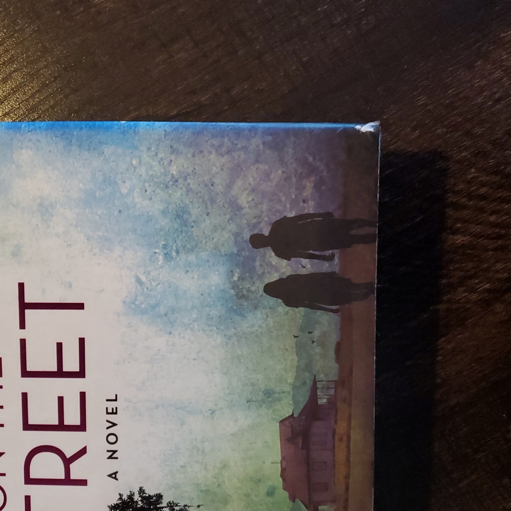 Adult Fiction Book - Picture 10 of 11